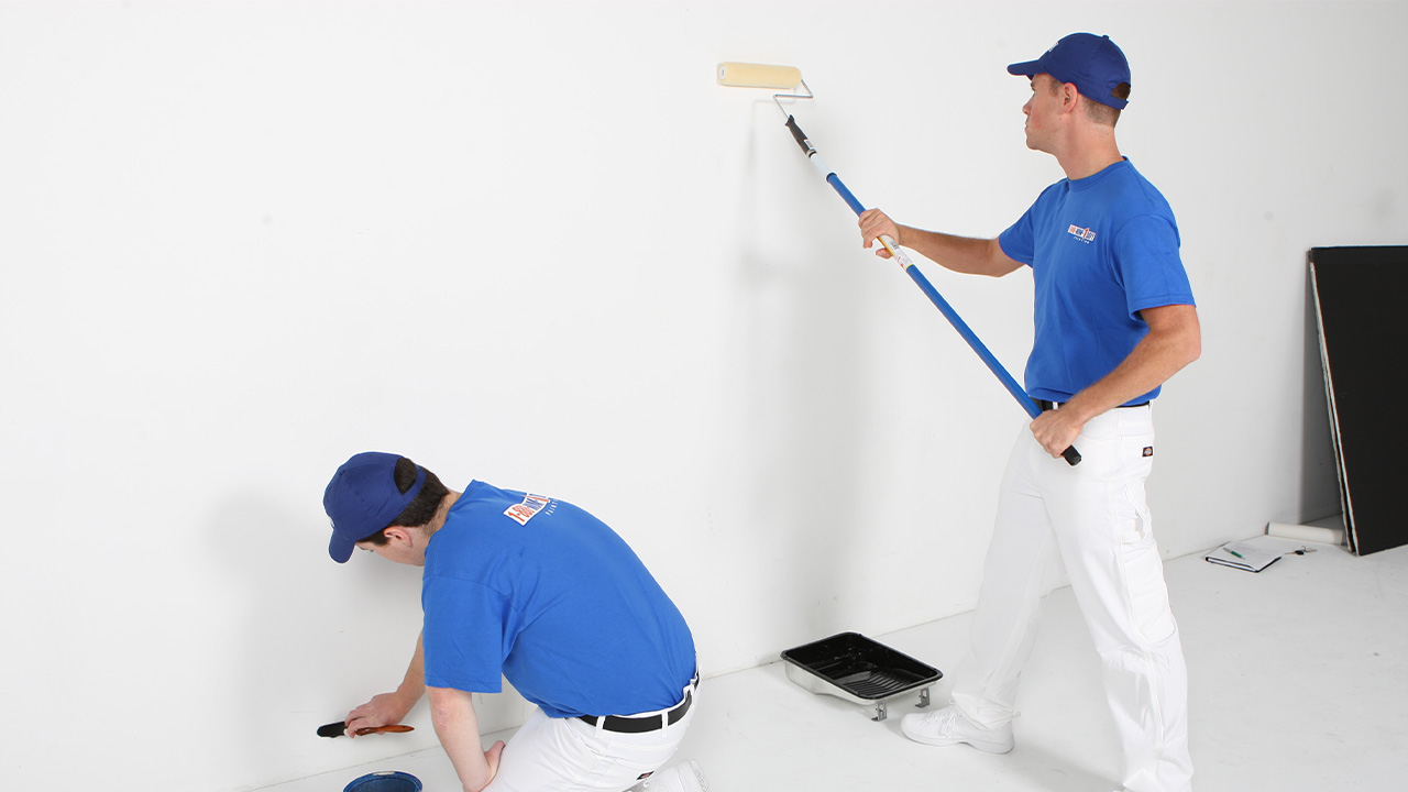 Ayvalık Boya Badanacı